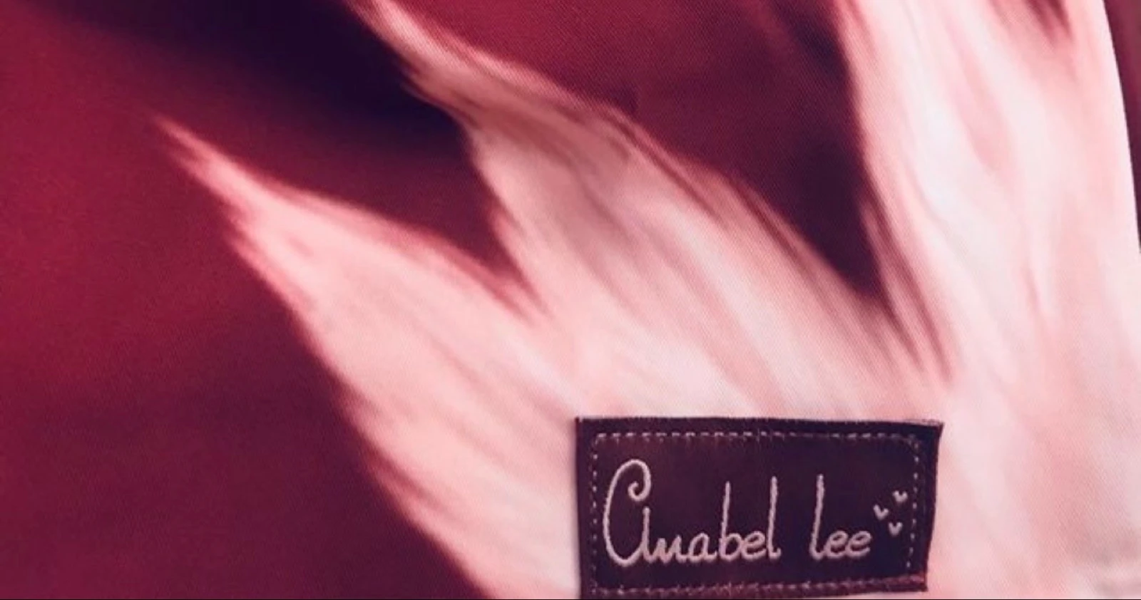 Anabel Lee Dress – photo 4